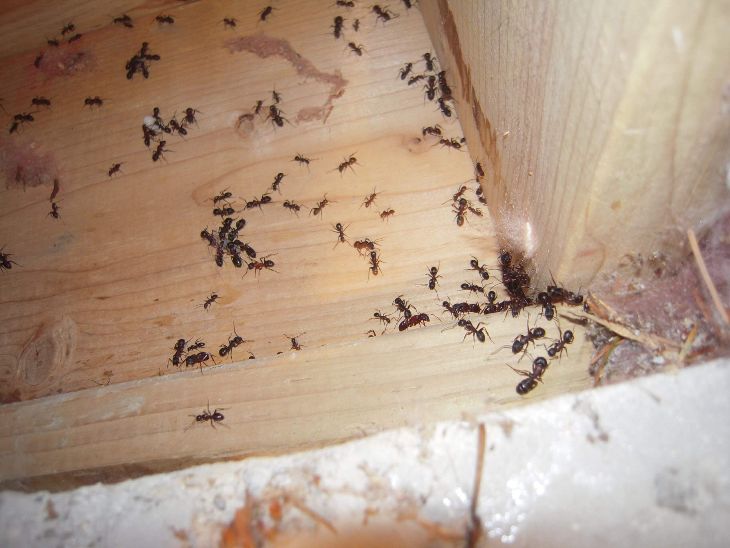 June 10th B 035 2 scaled