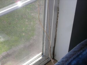another example of indoor humidity