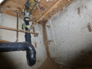 moisture ant tube