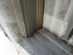 IMG 0084