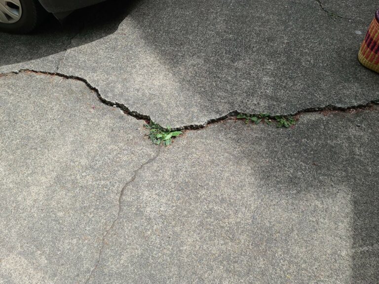 A crack with plants growing in a cracked concrete driveway. Use as an example for home inspector training