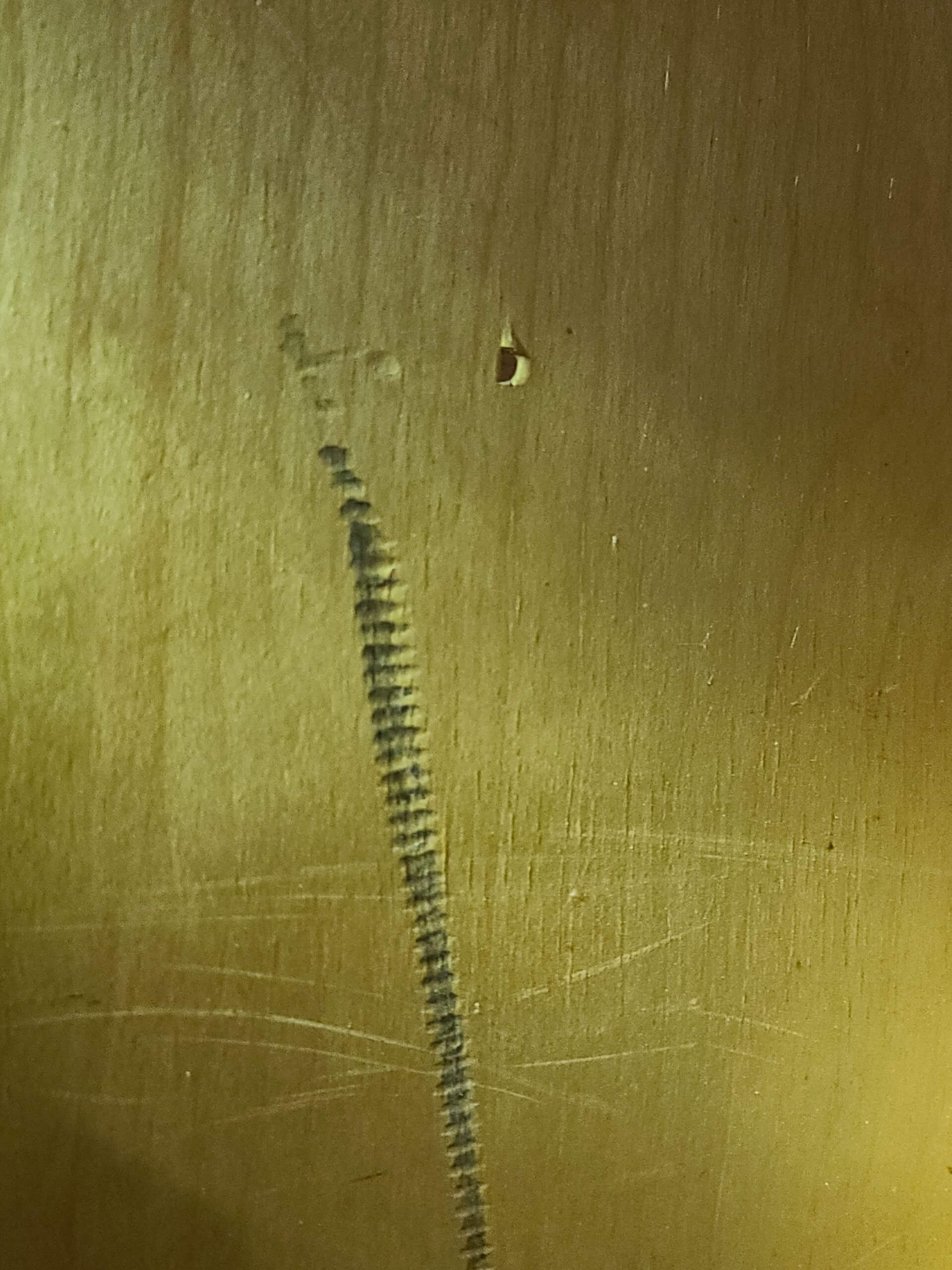 A mark in the wood that would be included in a ScribeWare Inspection Report