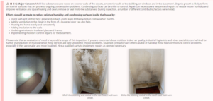 Mold 2 1