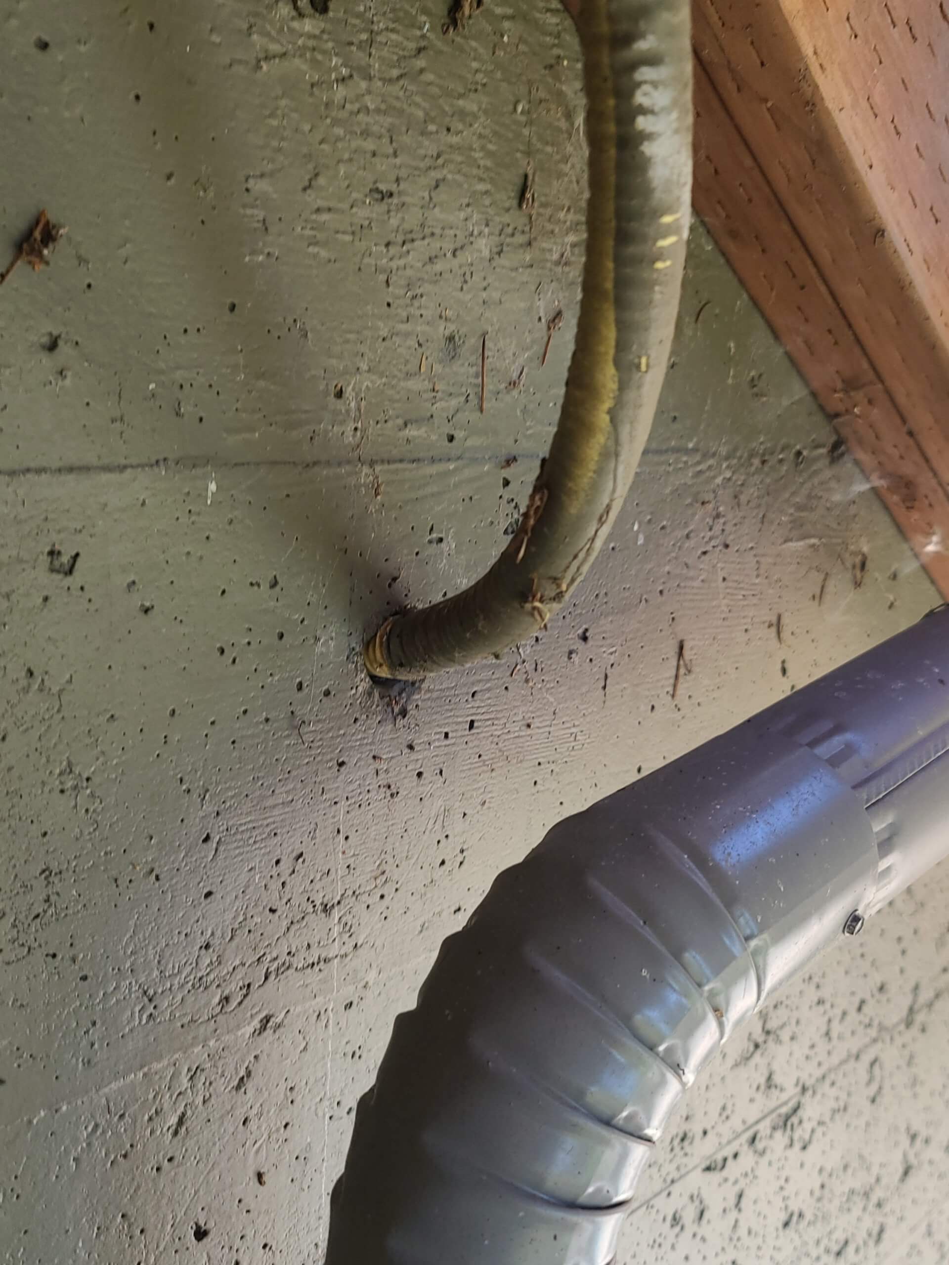 CCST gas piping running through concrete. Used as an example for home inspector training