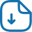 icon document download